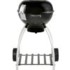 Rösle Holzkohlegrill Kugelgrill No.1 F50 Sport -Broil King Verkäufe 1000007447 roesle F50 25002 02