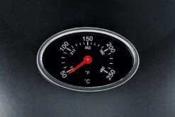 Severin Elektrogrill - Standgrill Mit Grillplatte Und Haube - 2.000 W -Broil King Verkäufe 21547 severin pg8541 barbecue elektrogri 6 1590737833