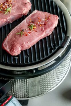 Cobb Grill Premier Gas Deluxe 2.0 - Gasgrill - Kartuschenanschluss - Modell 2023 -Broil King Verkäufe Cobb Grasgrill Premier Deluxe 2 Griddle Grillplatte