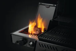Napoleon Freestyle 365 Gasgrill, Graphit - Mit Sizzle Zone Und Tür - Modell 2023 NEU -Broil King Verkäufe Napoleon Freestyle Sizzle Zone Flamme
