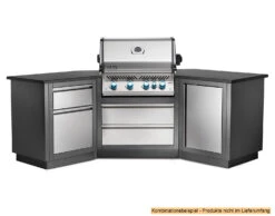 Napoleon Outdoor Küche Oasis Abschluss-Paneele -Broil King Verkäufe Napoleon Outdoor Kueche Oasis Schraenke