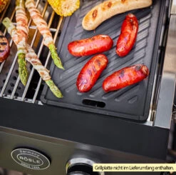 Rösle Gasgrill Videro Pro G2-P Campinggrill 10 Rösle Gasgrill Videro Pro G2-P Campinggrill -Broil King Verkäufe Roesle Videro PRO G2 P Gasgrill Beispiel mit Grillplatte