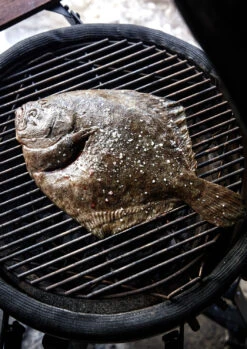 The Bastard Keramikgrill Classic Medium - Complete - Schwarz Glänzend - Modell 2023 -Broil King Verkäufe The Bastard Medium Keramikgrill Grillflaeche 1