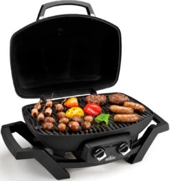 Napoleon TravelQ PRO285 Kompakt Gasgrill Schwarz - Modell 2023 -Broil King Verkäufe napoleon travelq pro285 kompakt gasgrill grillgut