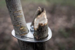 Petromax Dreibein-Ring -Broil King Verkäufe petromax dreibeinring detail d ring