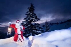 Petromax Petroleumlampe HK500/829 Chrom 37 Petromax Petroleumlampe HK500/829 Chrom -Broil King Verkäufe petromax starklichtlampe hk500 px5c 20